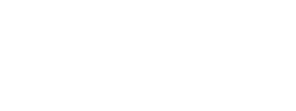 Petri Consulting Group