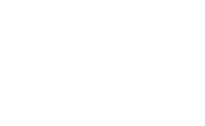 SKYY Vodka
