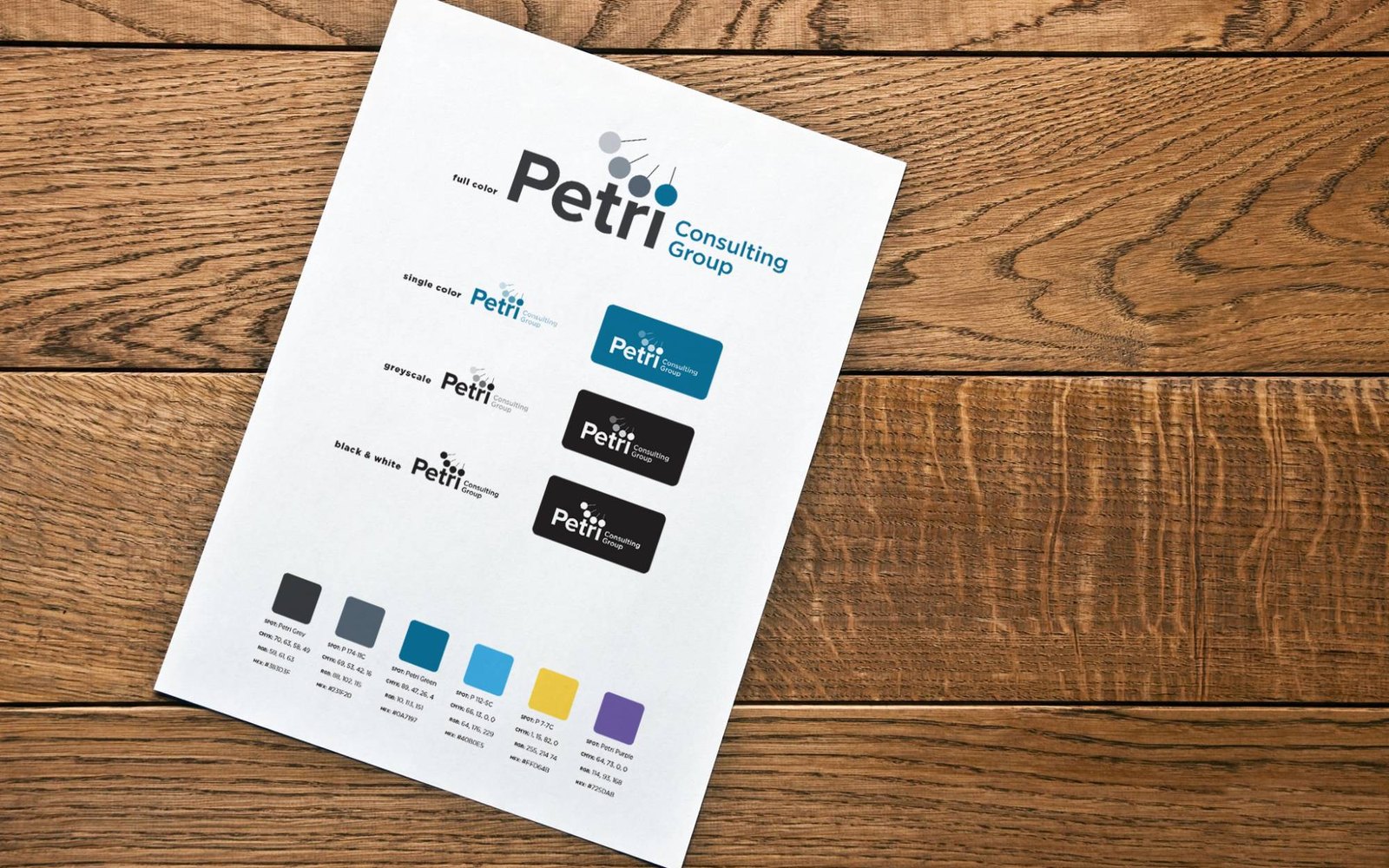 Petri logo variations and brand color palette