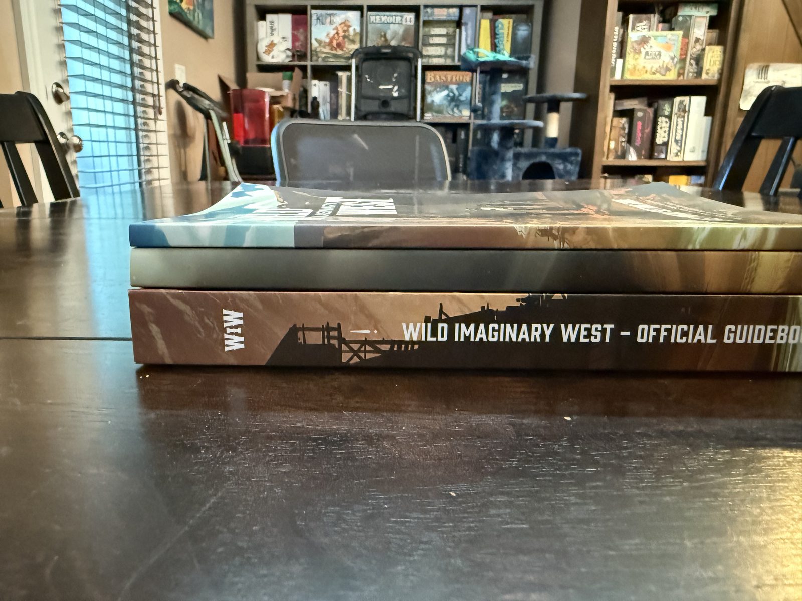 The Wild Imaginary West Official Guidebook stacked at the table, with the group's board-game collection behind it